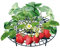 UPP Erdbeerreifer Set | Einstellbarer Fruchtreifer aus Kunststoff | Rankhilfe für Erdbeeren, Gemüse & Blumen | Natürlicher Schneckenschutz | Erdbeergitter schützen vor Fäulnis & Schimmel [20Stk.]