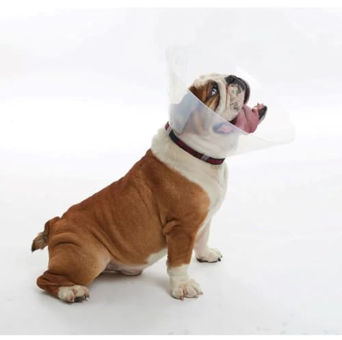 Buster Halsband für brachycephalische Hunde, Größe L