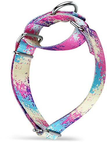 Dazzber Martingale Hundehalsbänder Bunte Ölgemälde Muster Serie - No Pull Haustierhalsband Seidig weich für mittlere und große Hunde (Mittel, 2,5 cm breit, Überfluss Bunt)
