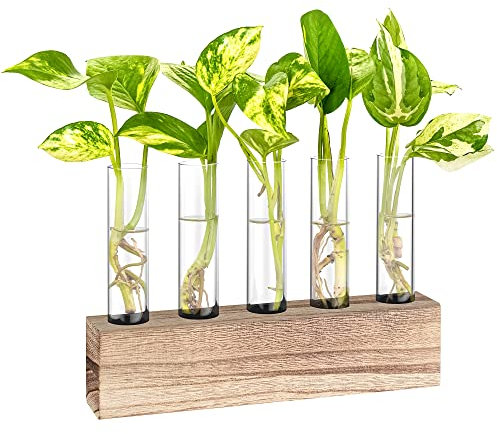 KAXYEW Wandbehang Glas Pflanze Terrarium Moderne Anzuchtstation in Holzständer Rack Tischplatte Terrarium für die Anzucht von Hydrokulturpflanzen, Home Office Dekoration mit 3 Glühbirnen