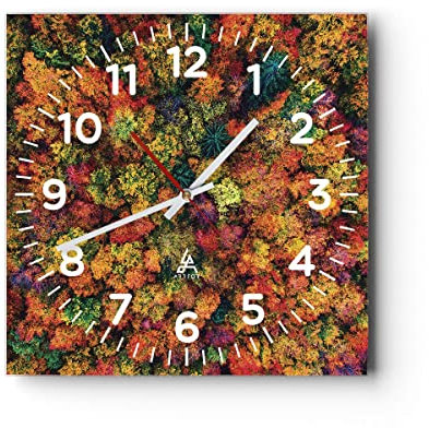 Modern Wanduhr Herbst Perspektive Vogel 40x40cm Quadrat Groß Wand Uhr Glas Analog Zimmeruhren Küche Büro Wohnzimmer Glasuhr Wall Clock Dekoration Design Wanddekoration Küchenuhr C4AC40x40-4478