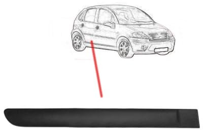 RAS RICAMBI AUTO STORE Moulure Porte Arrière Droite Noire Compatible avec Citroen C3