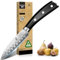 CoquusAid Paring Knife 3.75 Inch Fruit Knives, Small Kitchen Knife, Ultra Sharp German Stainless Steel Vegetable Knives,Damascus Pattern, Full Tang Handle Design, Elegant Black Ideal for Gift