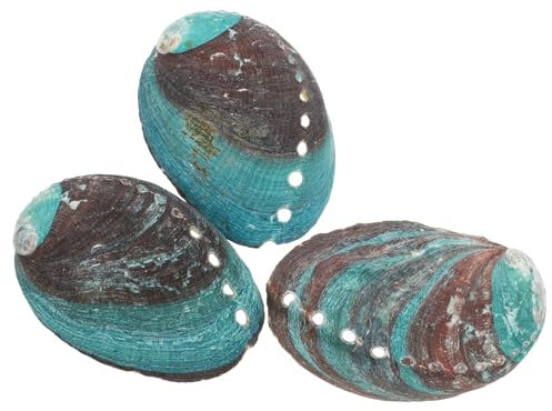 Luxshiny 3 pièces Bols à Fumigation Coquille Abalone de Décoration et Multifonctionnelle pour Fumigation Cristaux et Objets Sacrés
