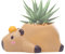 kivrimlarv Maceta de resina con agujero de drenaje, bonita maceta decorativa de Capibara para suculentas y cactus, divertida maceta con forma de animal, decoración única de mesa, estante de escritorio