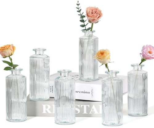 Sawoake Kleine Vasen, 6 Stück Glasvasen für Tischdeko Mini Vasen Glasfläschchen für Zuhause, Hochzeiten, Geburtstage, Feste (Transparent Vertical)