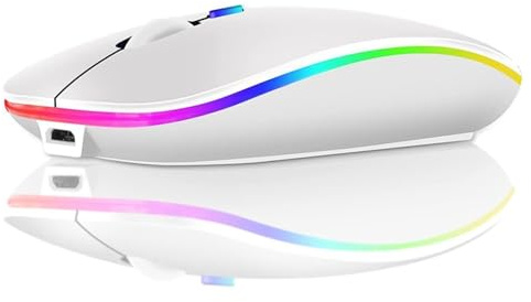 GADIRIA Ratón Inalámbrico Bluetooth con Batería Recargable (Blanco) | Ultrafino con doble modo Bluetooth 5.0 + 2.4 GHz, silencioso, 3 niveles de DPI (800/1200/1600), ambidiestro, LED