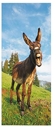 Türtapete selbstklebend Kleiner Esel TürPoster 3D Bewirken Fototapete Türfolie Poster Tapete Abnehmbar Wandtapete für Wohnzimmer Küche Schlafzimmer 77X200CM