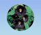200 graines de Rose Tremiere - noire - Alcea rosea - vivace - fleurs simple - nigra