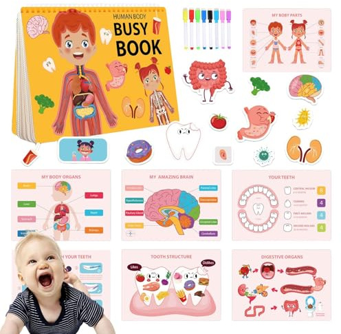Human Body Anatomy Book for Kids, Human Body upptagen bok Utbildnings | Anatomi bok för barn med olika delar av kroppsutbildningslärande sensorisk leksak för pojkar flickor i åldra