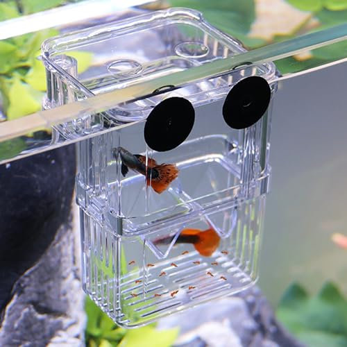 FGXY Aufzuchtbecken Aquarium, Aquarium Zucht Isolation Box, Züchter Isolation Divider Brutkasten, Multifunktional, Für Guppy Garnelen Mollys, Aquarium Babybecken Isolationskiste Jungfiisch