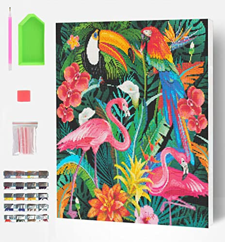 Splat Planet Kit De Peinture Diamant Encadré, Motif Oiseaux Tropicaux, Art Du Cristal, Kit De Peinture Diamant 5d, Décoration Murale Pour La Maison, Arts Et Artisanat Pour Adultes, Enfants, 30x40cm