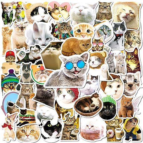 Lustige Katze Aufkleber Cute Katze Sticker Set 50 Stücke Niedlich Deko für Auto Laptop Skateboard Fahrrad Moped Motorrad Fahrrad Computer,Geeignet für Erwachsene Kinder