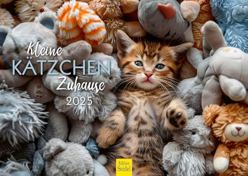 Edition Seidel Premium Kalender Kleine Kätzchen allein Zuhause 2025 Format DIN A3 Wandkalender Katzenkalender Haustiere Kätzchen Katze Kater Kitten Katzenkinder Katzenbabys