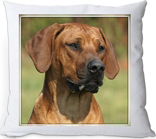 +++ Rhodesian RIDGEBACK - Kuschelkissen/KISSEN | PILLOW/Dekokissen - RRB 23