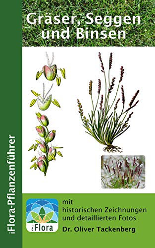 Gräser, Seggen und Binsen (iFlora Pflanzenführer 4)