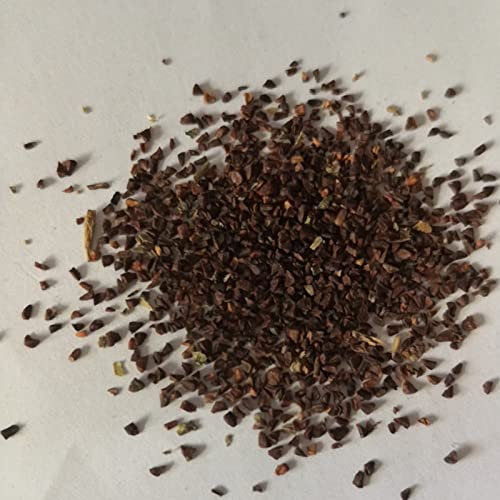 Generic Semillas de laurel de montaña, 50 piezas/bolsa Semillas de laurel de montaña Freshing Flowering Compact Rare Kalmia Latifolia Seeds for Park semillas de kalmia latifolia