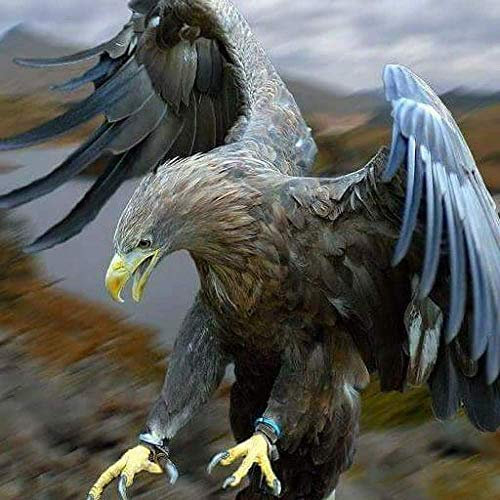 ANpygh Erwachsenen Puzzle Schwarz Hölle Schwierige 1000 Stück Mini Puzzle Pädagogisches Spielzeug Dekompression Kreatives Geschenk(50x75cm) Adler