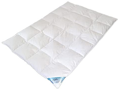 TM Maxx Kassetten Federdecke Ganzjahresdecke Bettdecke • Diverse Größen und Füllungen zur Auswahl (135x200cm, 2000g)