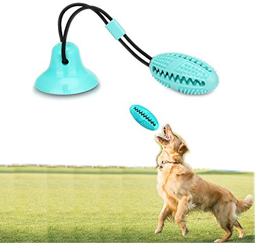 ANROD Jouet à Mâcher pour Chien, Balle à Ventouse avec Corde,IQ,Balle en Caoutchouc Molaire pour Animaux de Compagnie,Nettoyage des Dents,Naturel Non Toxique (Ellipse)