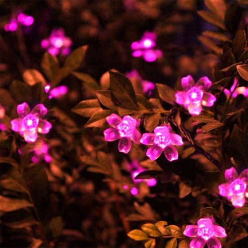 Mateju LED Lichterkette Außen Solar, Solar Lichterkette Aussen mit Fernbedienung 8 Modi Outdoor Solarlichterkette für Innen, Garten, Terrasse, Balkon, Hochzeit, Blumen (Rosa,7M/50LED)