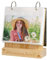ZEEYUAN Kalender Einsteckalbum 10x15 Holz Schreibtisch Fotoabum zum Einstecken 60 Bilder Fotorahmen zum Aufstellen