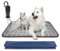 GOLOPET Dog Heating Pad 32x20in Waterproof Pet Heating Pad for Dogs Smart Thermostat Switch, Whelping Supplies Heated Dog Bed,Adding Wire Rope Wires Puppy Heating Pad Mat-Rose