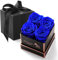WYRIAZA Rosa Stabilizzata Eterna Vera - Fiori Stabilizzati Veri Rose Blu Regalo Donna Mamma Moglie Fidanzata Compleanno Anniversario Confezione Scatola Natale San Valentino Festa della Nonna Lei