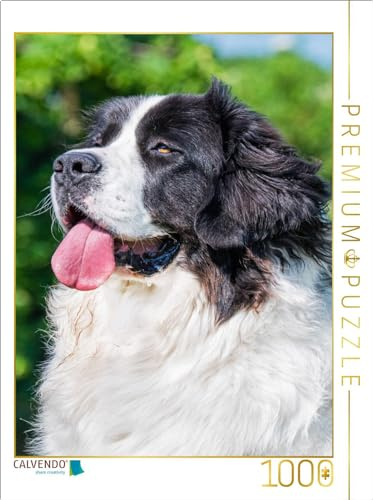 CALVENDO Puzzle Landseer Porträt | 1000 Teile Lege-Größe 64 x 48 cm Foto-Puzzle für glückliche Stunden