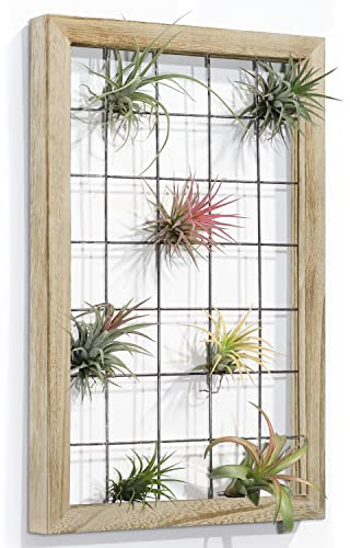 AOAOPQ Soporte de madera para plantas de aire, para colgar en la pared para el hogar, oficina, granja, decoración rústica, soporte de pared para plantas, color madera