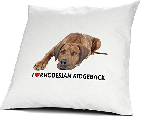 printplanet® Kopfkissen Rhodesian Ridgeback, Kissen mit Füllung I Love Rhodesian Ridgeback, 40 cm, 100% Baumwolle