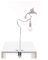 Seletti Sparrow Cruising 15312 Lampada con Pinza