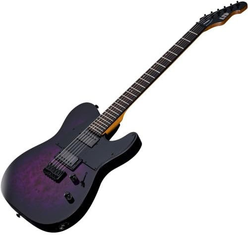 ESP Ltd TE-200DX Purple Burst E-Gitarre