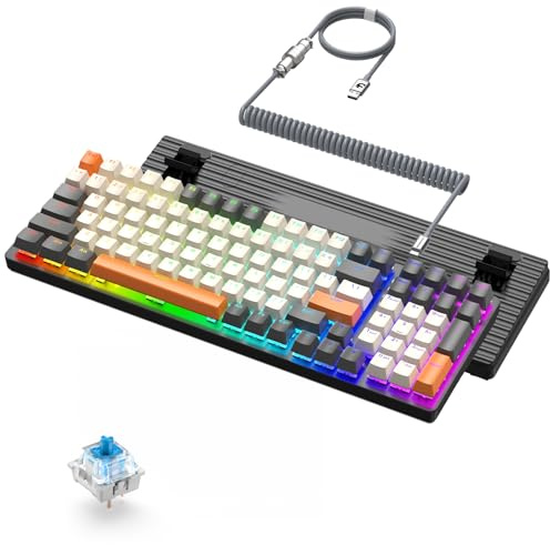 ZIYOU LANG K3 Wired Mechanical Keyboard with 8KHz Coiled Cable, Gray+Gray | LED Backlit, 100 Keys with Numeric Keypad, Clicky Blue Switches, Anti-Ghosting Computer Keyboard, Metal Panel, for Mac/Win
