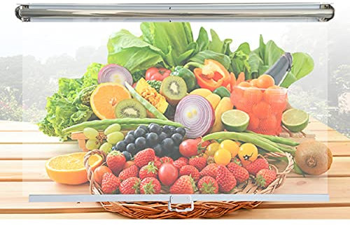 150cm High Transparent Plastic Roller Blinds, Clear Window Treatments for Freezers/Supermarkets/Showcases, Waterproof & Dustproof (Size : 95cmx150cm(WxH))