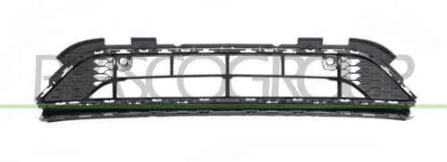 Bumper grille in the middle, black