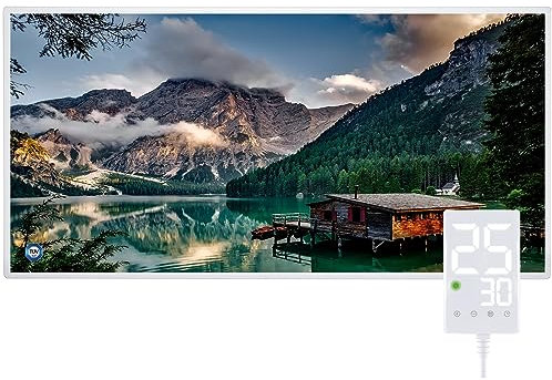 Hocosyme Infrarotheizung Bild 1000 Watt, Infrarotheizung Wandmontage mit Thermostat,Wochentimer - Elektroheizung mit Überhitzungsschutz - TÜV - Lake