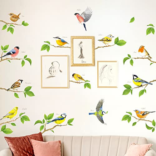 DECOWALL DS-8061 Uccelli da Giardino su Rami Corti Adesivi Murali Decalcomania Buccia e Bastone Rimovibili per Bambini Asilo Nido Camera da Letto Soggiorno Albero Foglia Decor