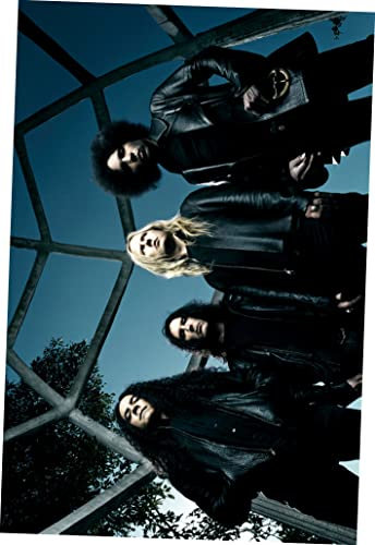 Poster Alice in Chains Gruppe, 28 x 43 cm, #a310