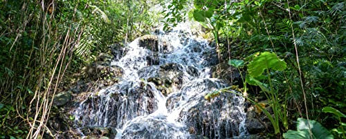 hansepuzzle 32860 - Traum-Landschaft Panorama-Puzzle 2000 Teile - Orte Motiv mit hochwertiger Aufbewahrung: Kartonbox und wiederverschließbarem Beutel - Format 116,6 × 46,7 cm