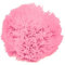 2 Bommeln/Wollbommeln/Pompons, 10cm mit einer großen Farbauswahl, Farbe:rosa