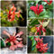 30 piezas semillas de plantas de interior de flores púbicas, Aeschynanthus, semillas de pradera de flores perennes, semillas de plantas semillas de plantas, plantas en macetas resistentes