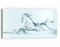 DEQORI Glasbild Echtglas | Motiv Pferd des Stroms | horizontal einteilig 60x30 cm | schöne Dekoration | Wandbild für Wohnzimmer, Schlafzimmer, Flur & Küche | moderne Wanddeko
