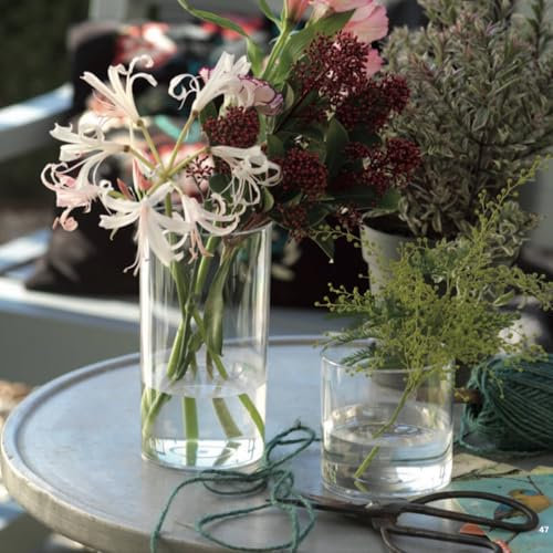 Vasi Cilindrici moderni in Plastica Trasparente per Fiori Tulipani, Rose, Fiori Freschi, Ideali per Composizioni Floreali, Casa e Ufficio (4, Altezza 17cm)
