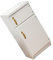 BESTonZON heladera Doble Puerta Blanca Miniature House maqueta de Madera refrigerador Mini Adorno Muebles decoración Mini Nevera de Madera Accesorio Mini casa Miniatura Modelo Juguete