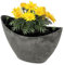 Bac à plantes ovale pour l'extérieur, de 24 cm, haut style vintage, en anthracite et noir, comme pot de fleurs, cache-pot pour jardin, balcon ou cimetière comme bijou funéraire