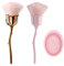 2 Blumen-Make-Up-Pinsel, 1 Waschschüssel, Nail-Art-Staubpinsel, Foundation-Make-Up-Pinsel, Nail-Art-Make-Up-Pinsel-Zubehör