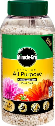 Miracle-Gro All Purpose Continuous Release Plant Food 900g - Provides Sustained Nutrition for Healthy Growth - Essential for Vibrant, Thriving Plants