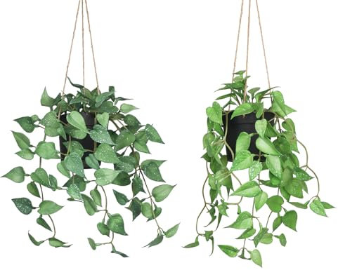 Olrla Lot de 2 Fausses Plantes suspendues avec Pot pour étagères, Bureaux, Chambre à Coucher, Salle de Bain, décoration extérieure