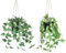 Olrla 2 plantas colgantes falsas con maceta, plantas artificiales colgantes de hoja de antracita para estanterías, escritorios, dormitorio, baño, decoración exterior